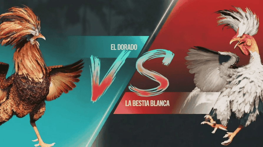 7075 Plataforma Jogos App